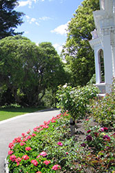 Melrose House Landscaped Gardens